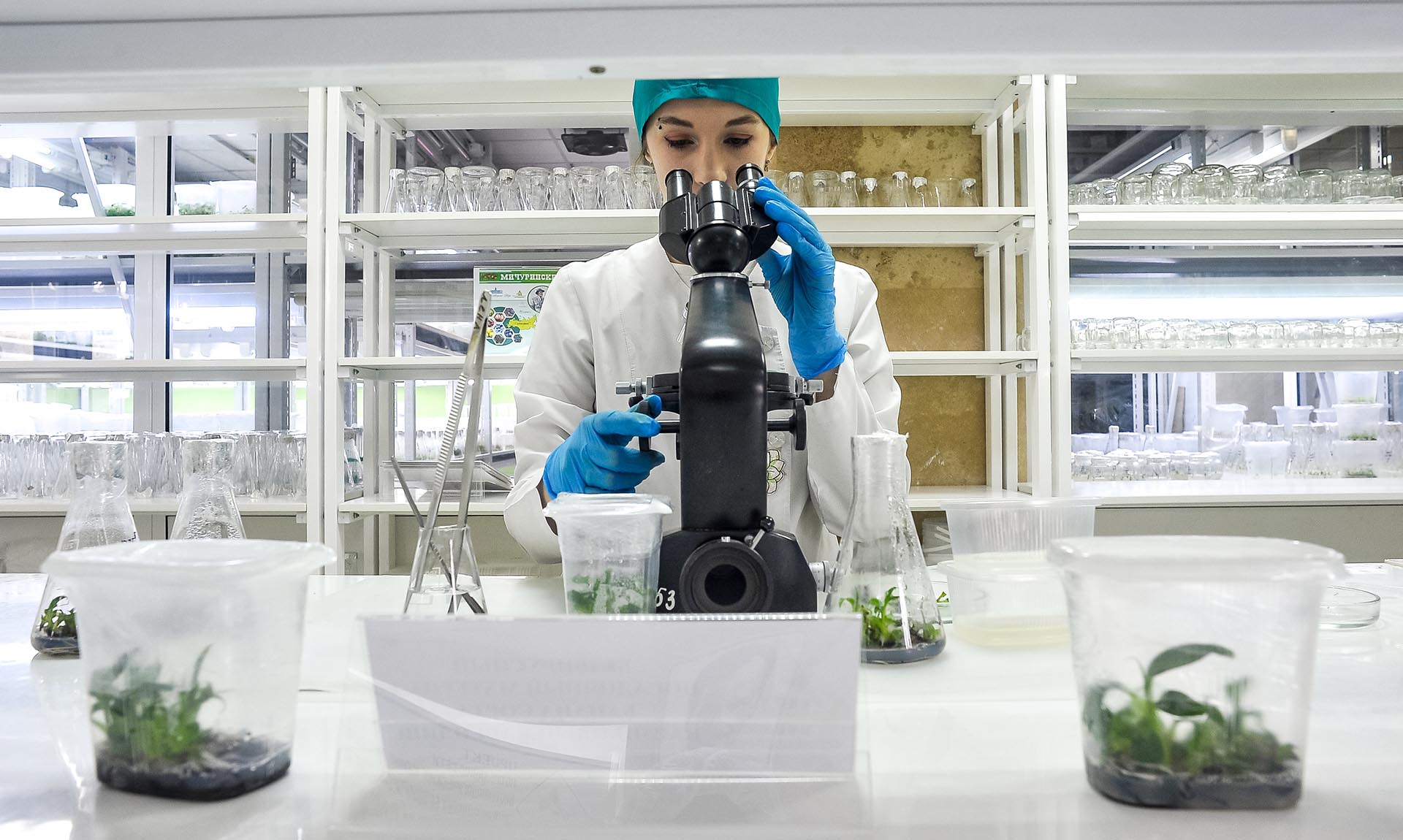 По каким направлениям увеличат число бюджетных мест в учебных заведениях?