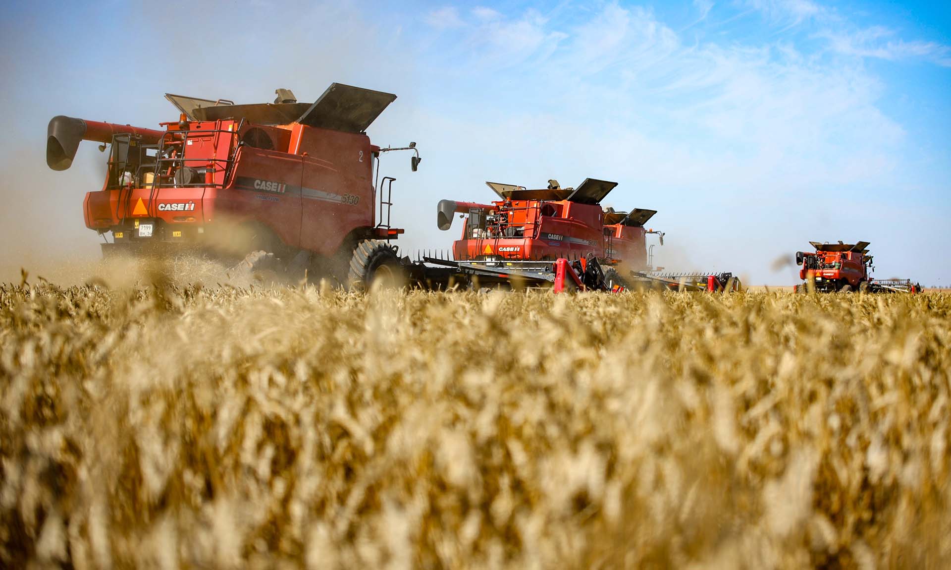 Сколько тонн зерна собрали в России в 2025 году?