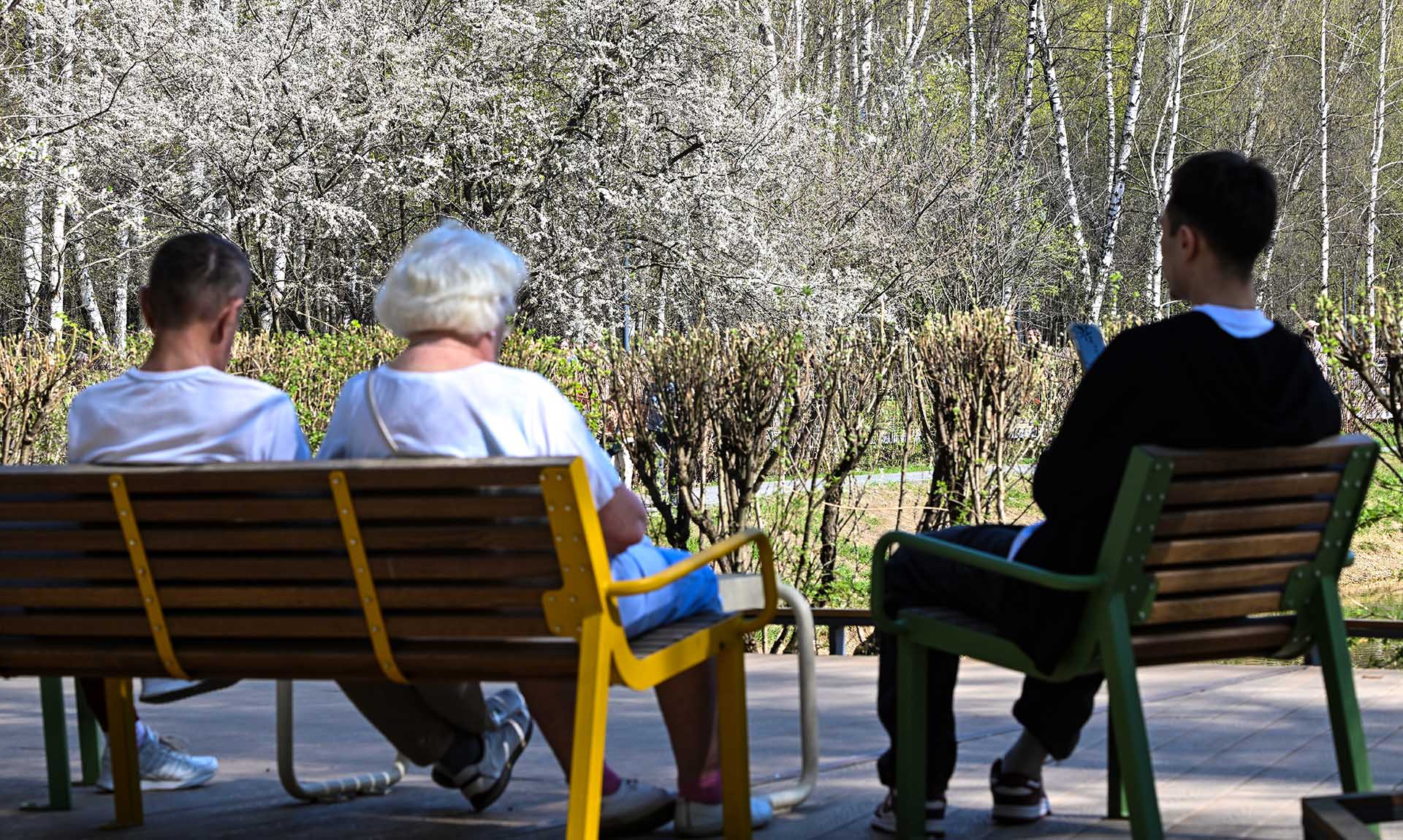 Горожане на скамейке в парке 