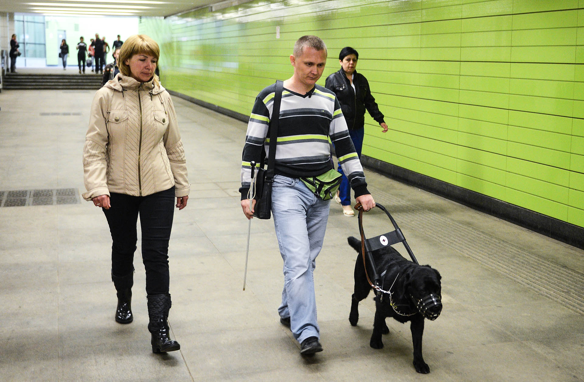 мужчина с собакой-проводником