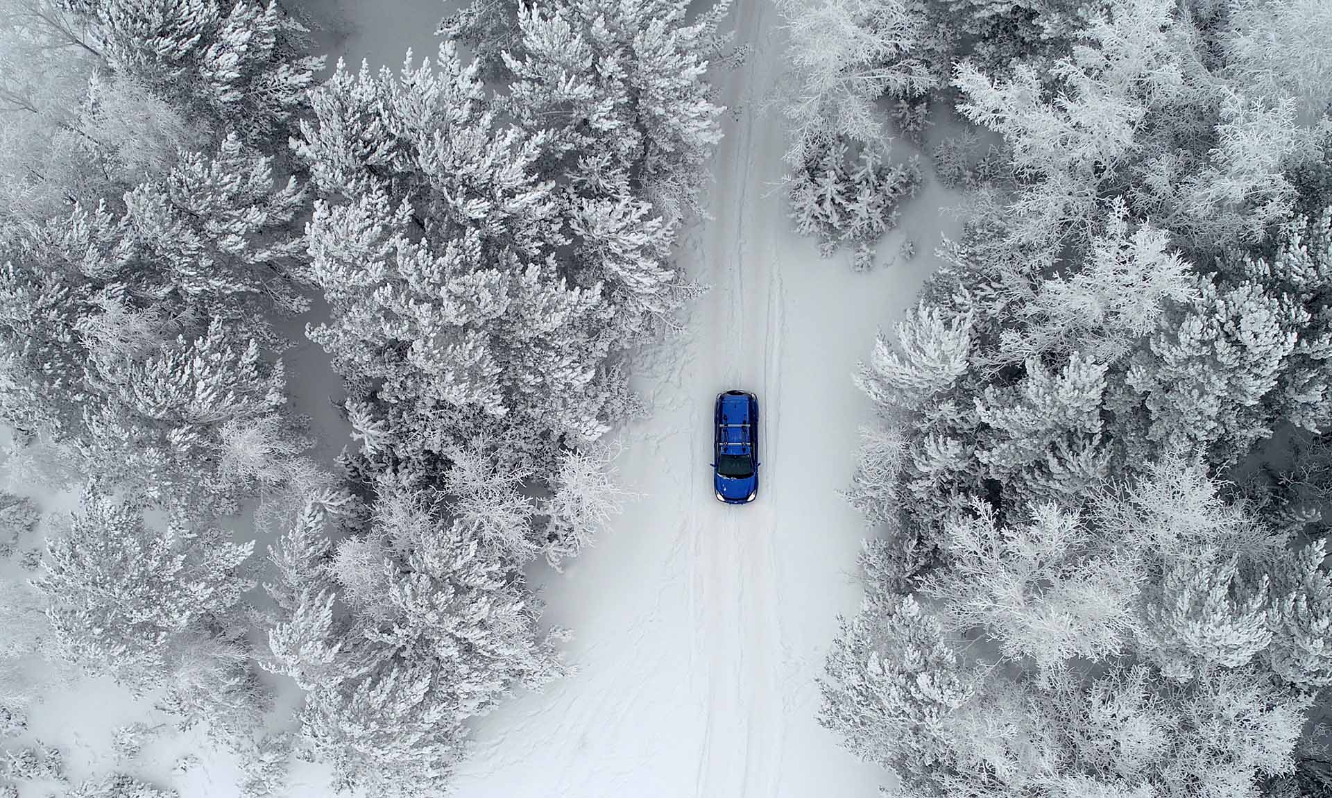 Автомобиль в заснеженном лесу