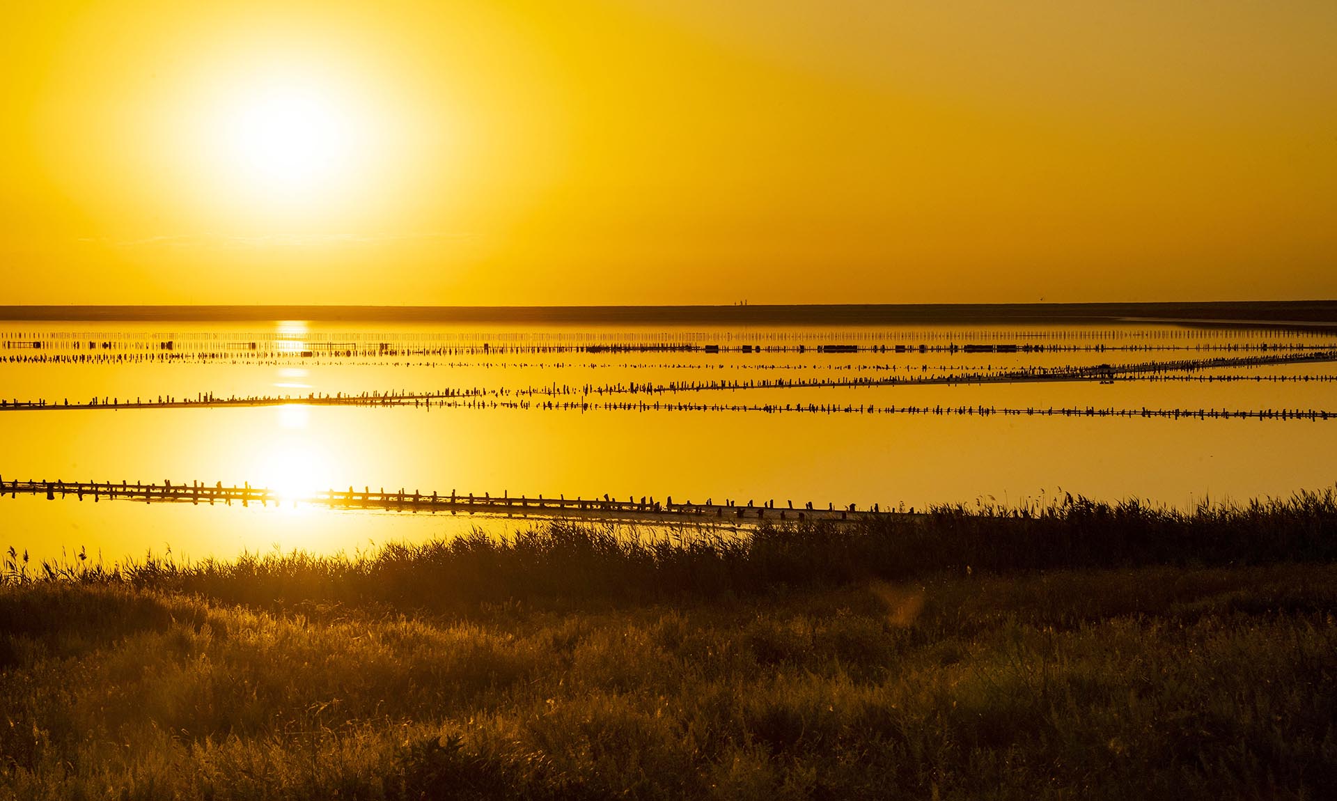 В Херсонской области планируется создание Азово-Сивашского национального парка