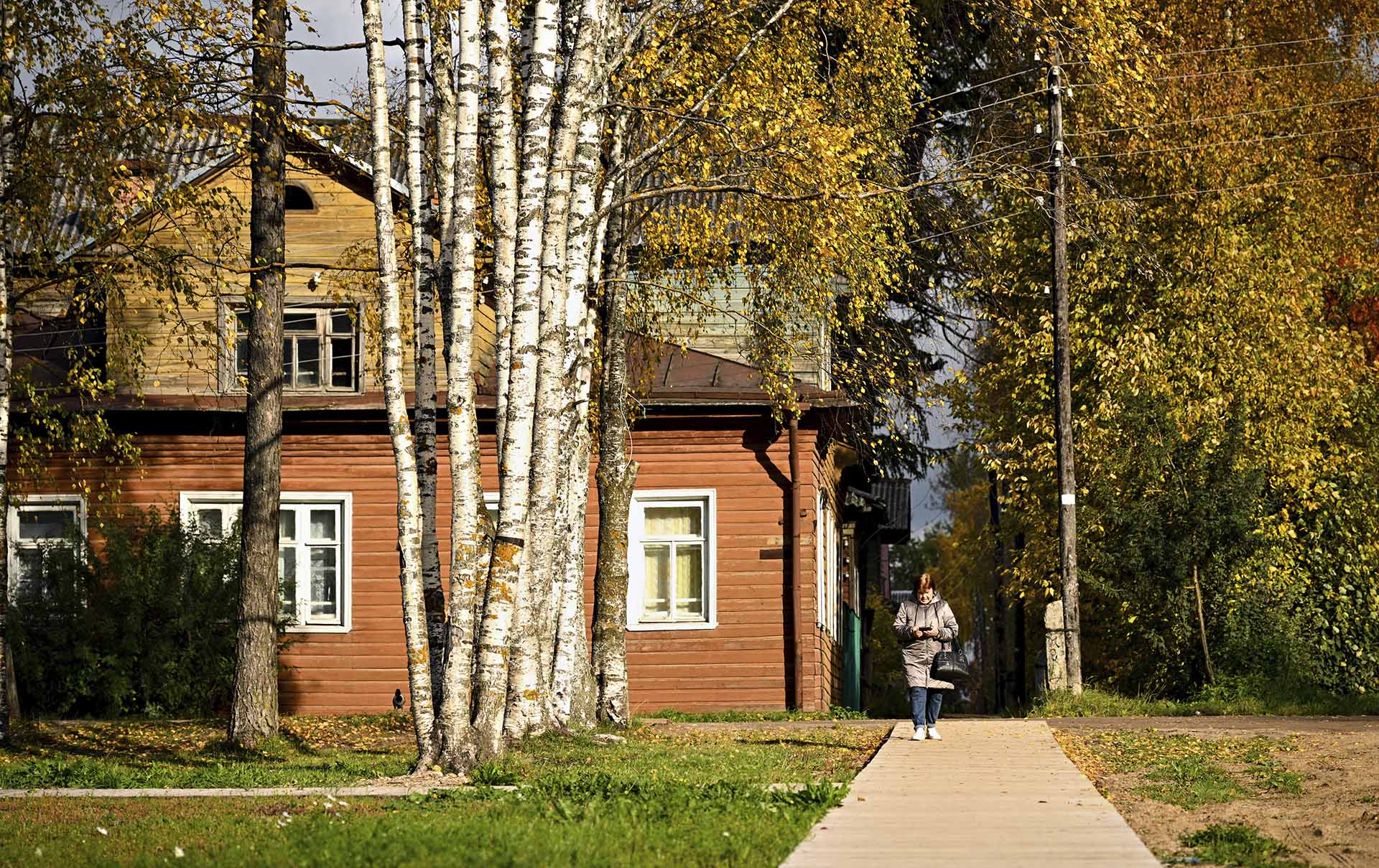 Как правильно законсервировать дачу и участок на зиму: советы по подготовке