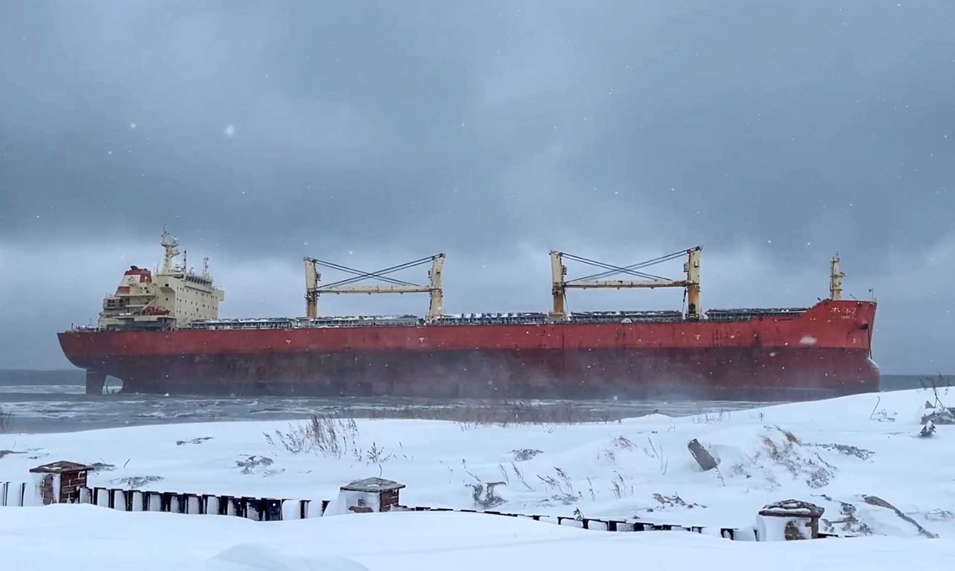 Где находится номер двигателя паз В Роспотребнадзоре рассказали, как проверяют рыбу, устрицы и мидии в Черном море