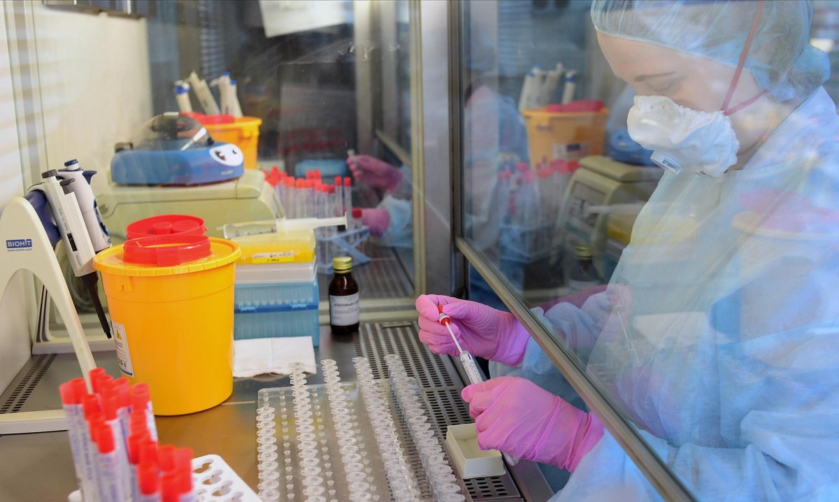 Роспотребнадзор: упоминаемый в СМИ «новый вирус» хорошо изучен