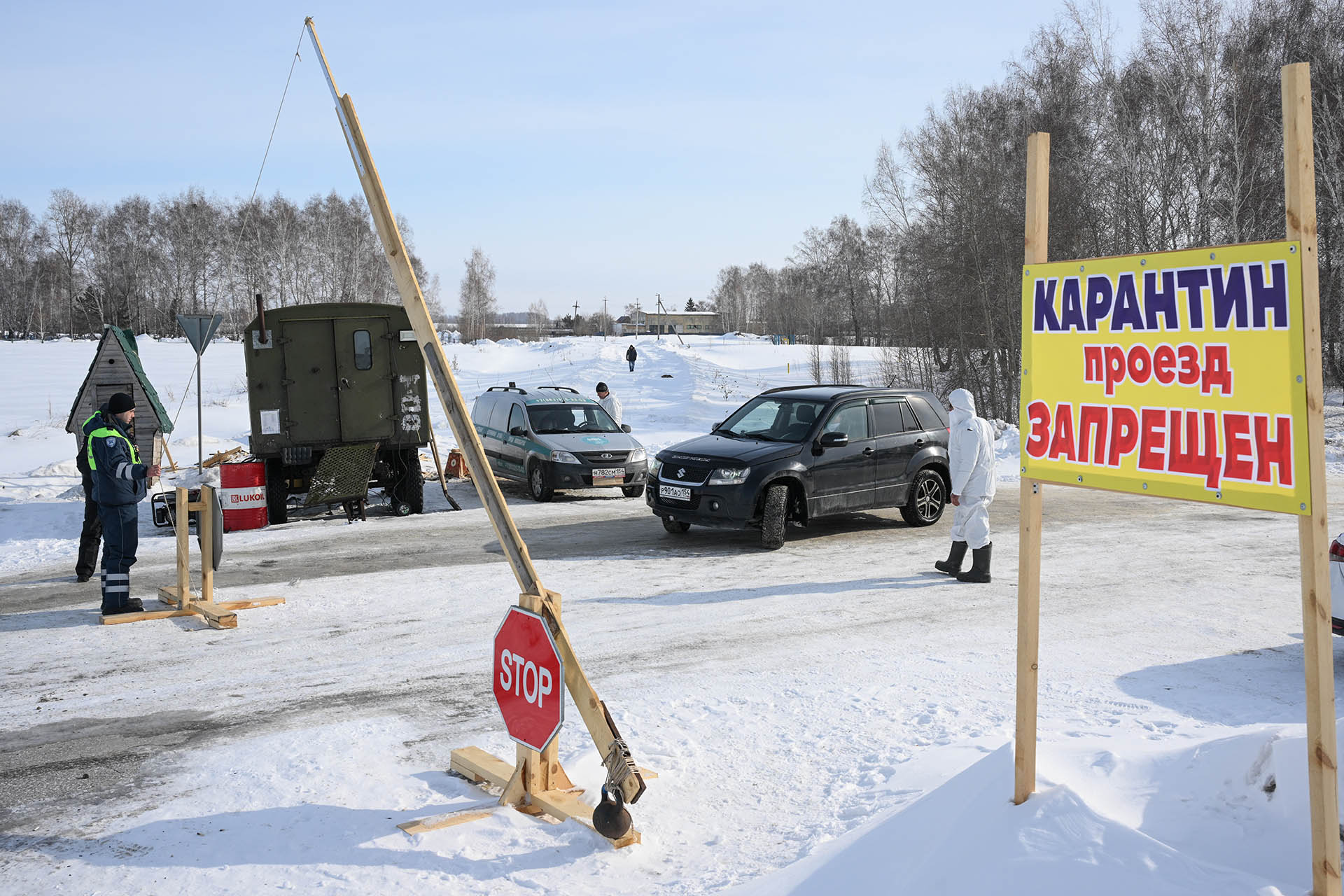 Какую поддержку окажут владельцам изъятого в Новосибирской области скота?