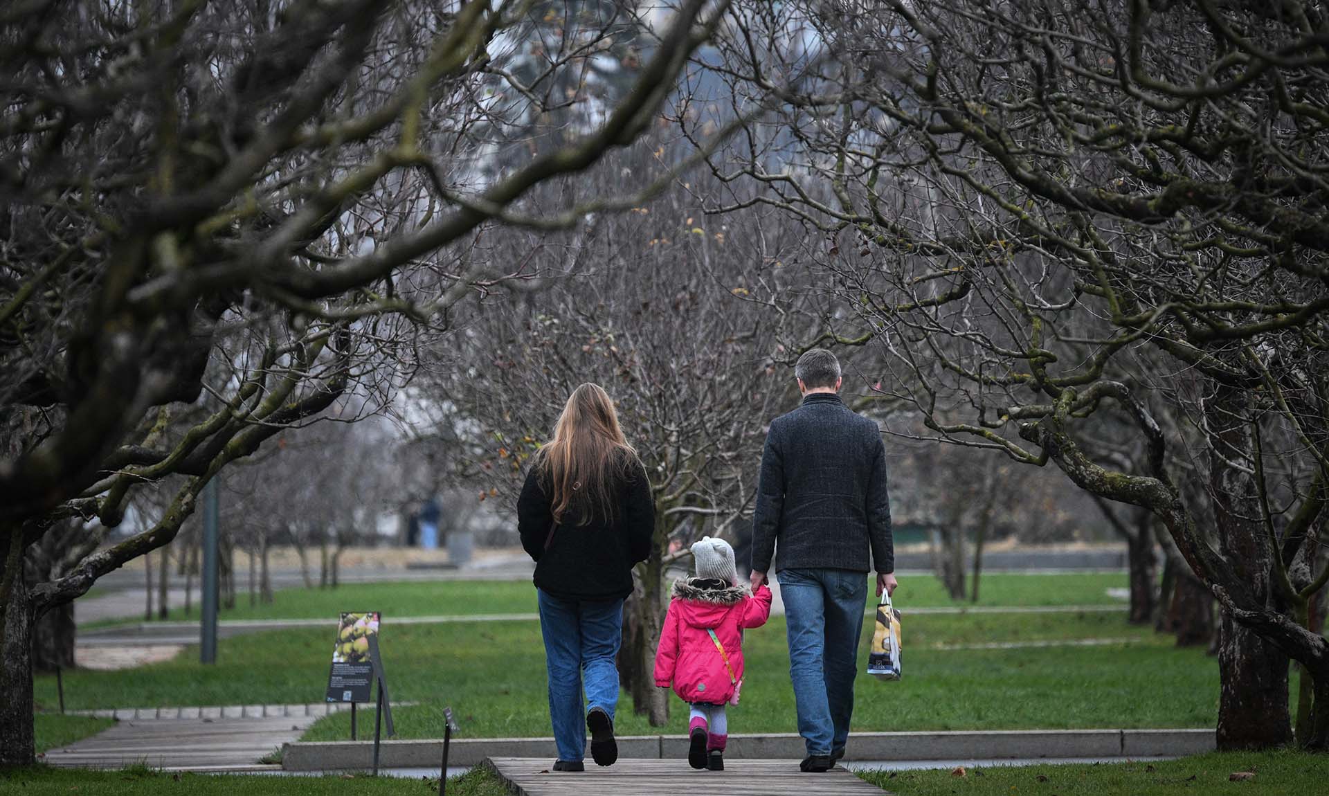 Семья гуляет в парке