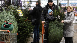 Семья с елкой в магазине