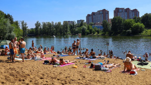 Отдыхающие на пляже пруда