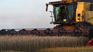 Уборка урожая пшеницы