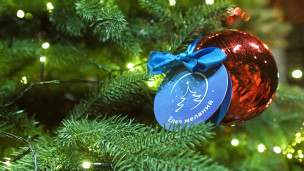 "Елка желаний" 