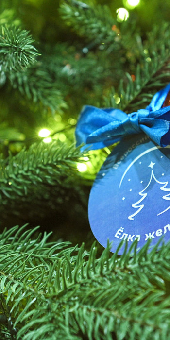 "Елка желаний" 