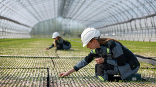 Сотрудники во время работы в лесном селекционно-семеновдческом центре