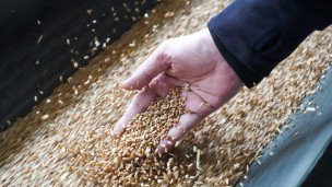 Работа зернового элеватора в Запорожской области