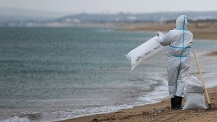 Волонтерский лагерь ликвидирует последствия разлива мазута