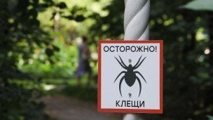 Табличка осторожно клещи