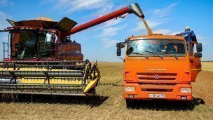 Уборка урожая пшеницы на полях