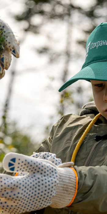 Участники традиционной всероссийской акции "Сохраним лес"