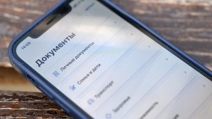 Приложение Госуслуги на экране телефона