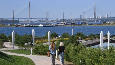 Смотровая площадка Приморского океанариума с видом на Русский мост во Владивостоке