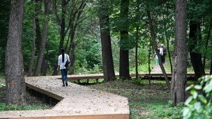 Отдыхающие на благоустроенной территории  в лесу