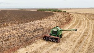 Уборка урожая подсолнечника на поле