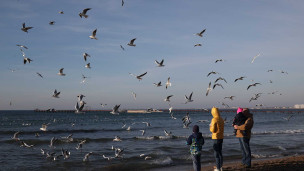 Отдыхающие на пляже Анапы