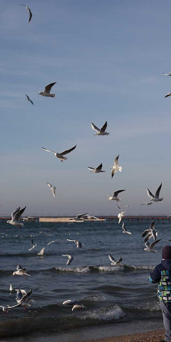 Отдыхающие на пляже Анапы