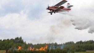 Самолет тушит лесной пожар