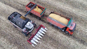 Сбор урожая зерна кукурузы