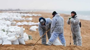 Волонтеры во время уборки разлитого мазута на пляже