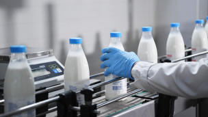 Упаковка молочной продукции сотрудником 