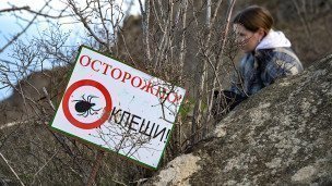 Знак "Осторожно! Клещи!" 