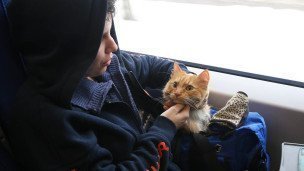Пассажир в поезде с котом
