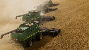 Комбайны во время уборки урожая пшеницы 