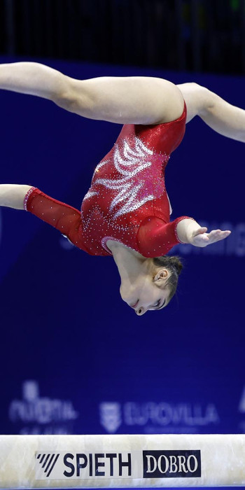 Чемпионат Европы по спортивной гимнастике