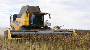 Комбайны во время уборки урожая подсолнечника
