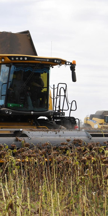 Комбайны во время уборки урожая подсолнечника