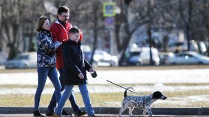 Семья на прогулке с собакой