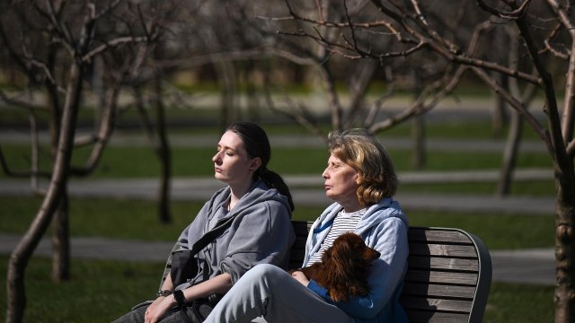 Горожане сидят на скамейке в парке 