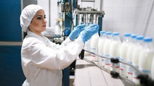 Производство молока на молокозаводе, разлив по упаковкам