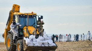 Волонтеры во время уборки разлитого мазута на пляже в селе Витязево