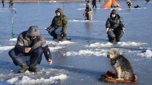 Рыбаки на льду рыбачат в проруби