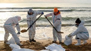 Волонтеры во время уборки разлитого мазута на пляже в селе Витязево
