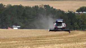 Комбайн во время уборки урожая