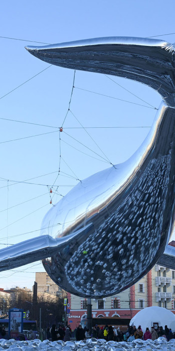 Надувной кит на площади Пять углов в центре Мурманска