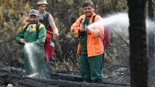 волонтеры в лесу во время тушения лесного пожара