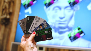 Образцы "Пушкинской карты"