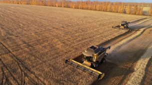 Уборка пшеницы на поле