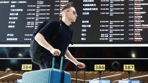 Пассажир с чемоданами в аэропорту